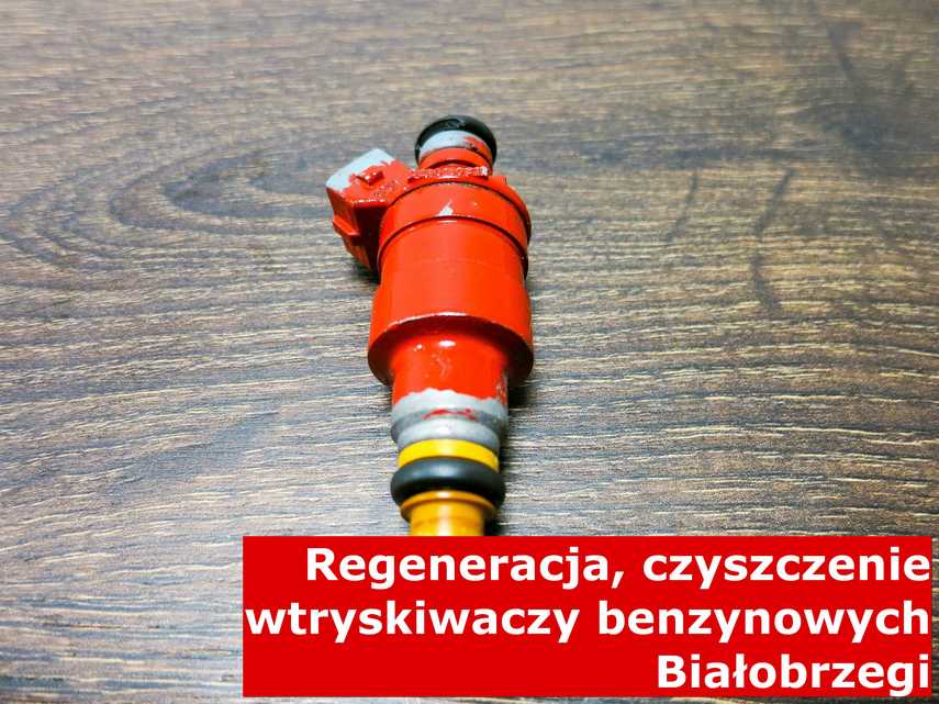 Wtrysk pośredni wielopunktowy z Białobrzegów po czyszczeniu, naprawiony przy pomocy specjalnego sprzętu